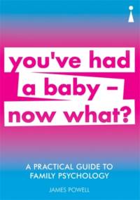 A Practical Guide to Family Psychology av James Powell