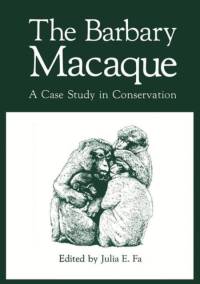 The Barbary Macaque av Julia E. Fa