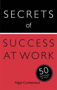Secrets of Success at Work av Nigel Cumberland