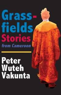 Grassfields Stories from Cameroon av Peter Wuteh Vakunta