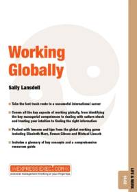 Working Globally av Sally Lansdell