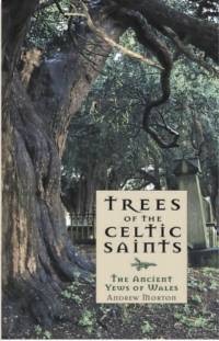 Trees of the Celtic Saints ? The Ancient Yews of Wales av Andrew Morton