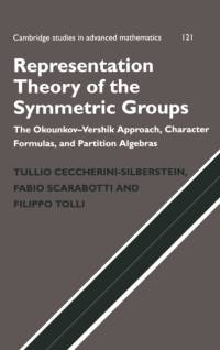 Representation Theory of the Symmetric Groups av Tullio Ceccherini-Silberstein