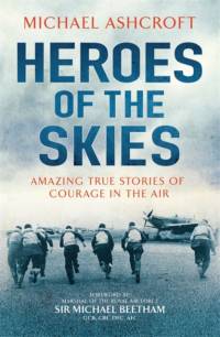 Heroes of the Skies av Michael Ashcroft