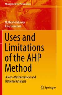 Uses and Limitations of the AHP Method av Nolberto Munier