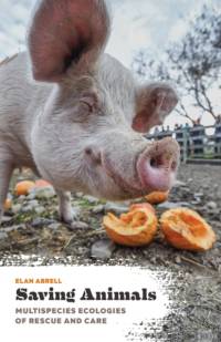 Saving Animals av Elan Abrell