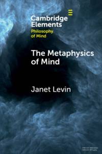 The Metaphysics of Mind av Janet (University of Southern California) Levin