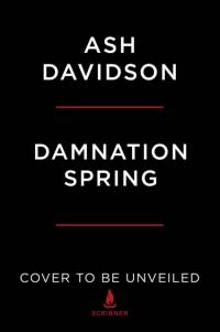 Damnation Spring av Ash Davidson