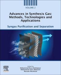 ADVANCES IN SYNTHESIS GAS METH av Mohammad Reza Rahimpour