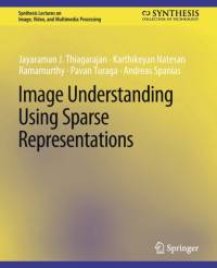 Image Understanding using Sparse Representations av Andreas Spanias