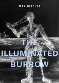 The Illuminated Burrow av Max Blecher