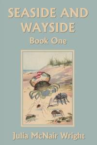 Seaside and Wayside, Book One (Yesterday's Classics) av Julia McNair Wright