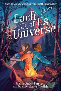 Each of Us a Universe av Jeanne Zulick Ferruolo