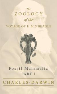 Fossil Mammalia - Part I - The Zoology of the Voyage of H.M.S Beagle av Charles Darwin