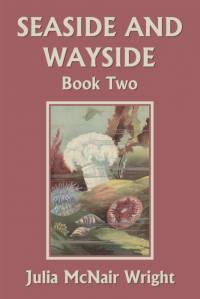 Seaside and Wayside, Book Two (Yesterday's Classics) av Julia McNair Wright