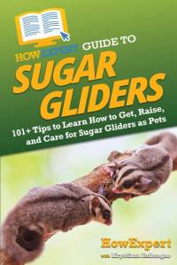HowExpert Guide to Sugar Gliders av Howexpert