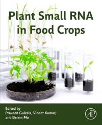 Plant Small RNA in Food Crops av Vineet Kumar