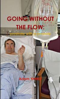GOING WITHOUT THE FLOW av Adam Yamey