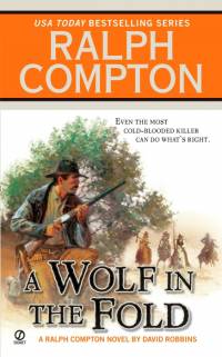 A Wolf in the Fold av David Robbins