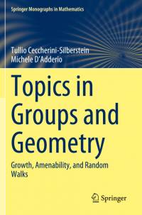 Topics in Groups and Geometry av Tullio Ceccherini-Silberstein