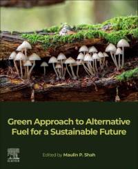 Green Approach to Alternative Fuel for a Sustainable Future av Maulin P Shah