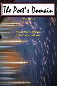 The Poet's Domain, Vol.36: If Not Here, Where? If Not Now, When? av Wilson