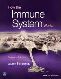How the Immune System Works av Lauren M. (University of Colorado at Boulder) Sompayrac