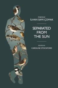 Separated from the Sun av Ilhan Comak