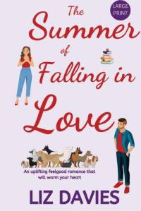 The Summer of Falling in Love av Liz Davies