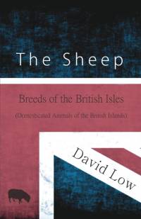 The Sheep - Breeds of the British Isles (Domesticated Animals of the British Islands) av David Low