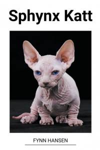 Sphynx Katt av Fynn Hansen