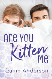 Are You Kitten Me av Quinn Anderson