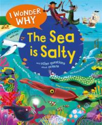I Wonder Why the Sea is Salty av Anita Ganeri
