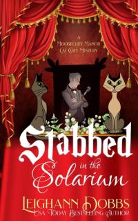 Stabbed in the Solarium av Leighann Dobbs