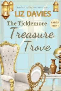 The Ticklemore Treasure Trove av Liz Davies