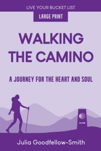 Walking the Camino av Julia Goodfellow-Smith
