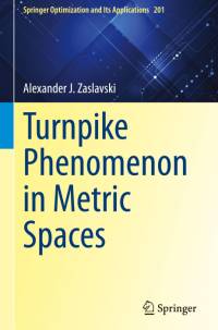 Turnpike Phenomenon in Metric Spaces av Alexander J. Zaslavski