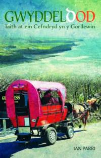Gwyddeldod: Taith at ein Cefndryd yn y Gorllewin av Gwasg Carreg Gwalch