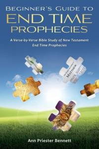 Beginner's Guide to End Time Prophecies av Ann Priester Bennett