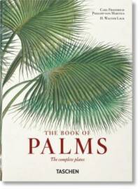 Martius. The Book of Palms. 45th Ed. av H. Walter Lack
