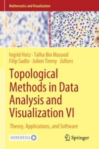 Topological Methods in Data Analysis and Visualization VI av Ingrid Hotz
