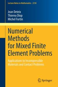Numerical Methods for Mixed Finite Element Problems av Jean Deteix