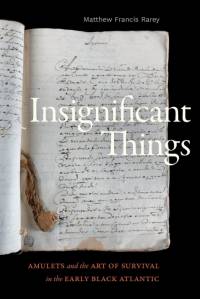 Insignificant Things av Matthew Francis Rarey