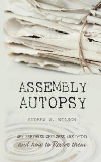 Assembly Autopsy av Andrew W. Wilson