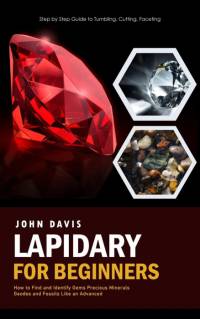 Lapidary for Beginners av John Davis
