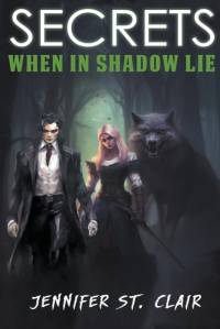 Secrets When in Shadow Lie av Jennifer St. Clair
