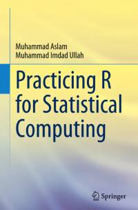 Practicing R for Statistical Computing av Muhammad Aslam