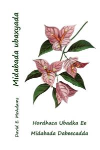 Midabada ubaxyada av David E. McAdams