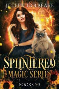 Splintered Magic Omnibus: A Paranormal Women's Fiction Urban Fantasy Books 1-3 av Jilleen Dolbeare