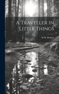 A Traveller in Little Things av W H Hudson